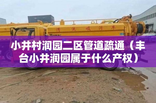小井村润园二区管道疏通（丰台小井润园属于什么产权）