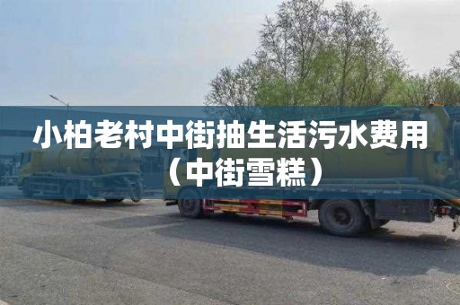 小柏老村中街抽生活污水费用（中街雪糕）