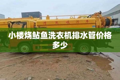 小楼烧鲇鱼洗衣机排水管价格多少