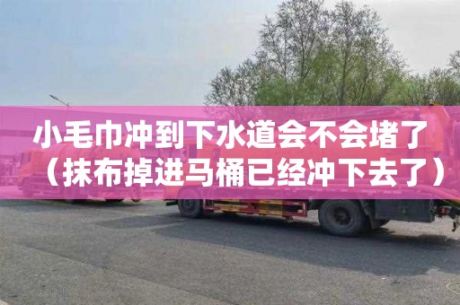 小毛巾冲到下水道会不会堵了（抹布掉进马桶已经冲下去了）
