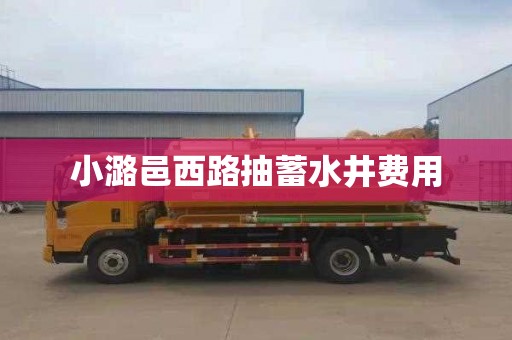 小潞邑西路抽蓄水井费用
