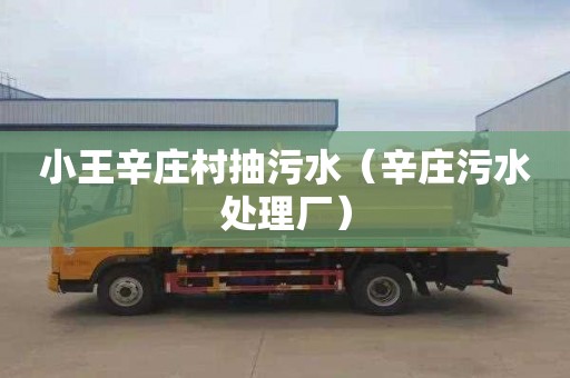 小王辛庄村抽污水（辛庄污水处理厂）