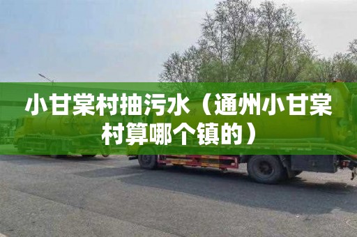 小甘棠村抽污水（通州小甘棠村算哪个镇的）