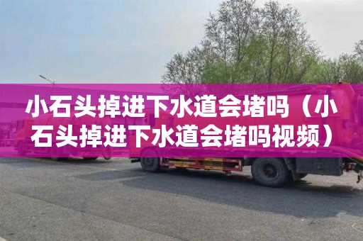 小石头掉进下水道会堵吗（小石头掉进下水道会堵吗视频）