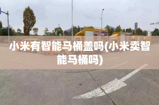 小米有智能马桶盖吗(小米卖智能马桶吗)