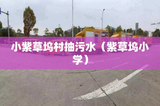 小紫草坞村抽污水（紫草坞小学）