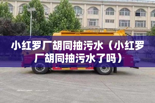 小红罗厂胡同抽污水（小红罗厂胡同抽污水了吗）