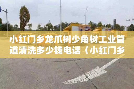 小红门乡龙爪树少角树工业管道清洗多少钱电话（小红门乡龙爪树村规划）