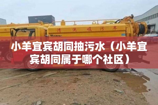 小羊宜宾胡同抽污水（小羊宜宾胡同属于哪个社区）