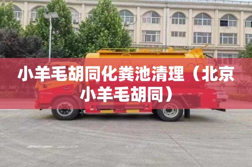 小羊毛胡同化粪池清理（北京小羊毛胡同）