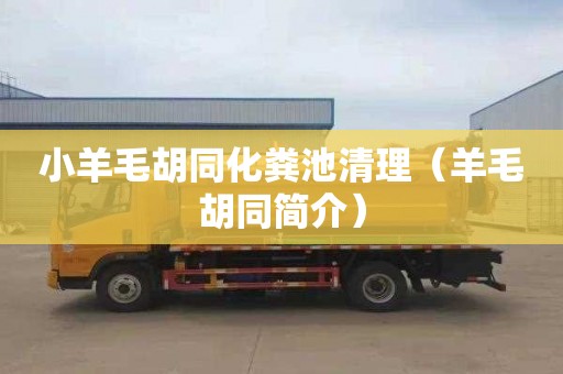 小羊毛胡同化粪池清理（羊毛胡同简介）