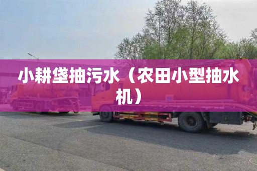 小耕垡抽污水（农田小型抽水机）