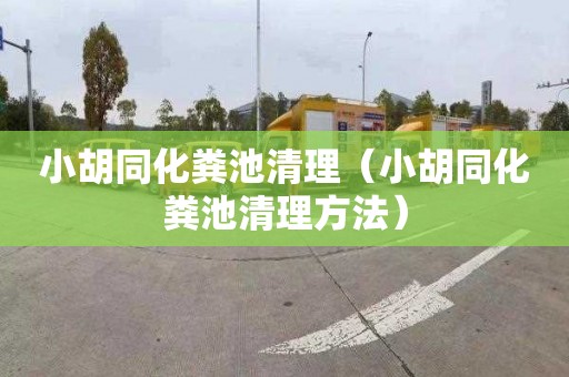 小胡同化粪池清理（小胡同化粪池清理方法）