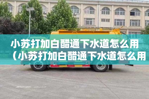 小苏打加白醋通下水道怎么用（小苏打加白醋通下水道怎么用的）