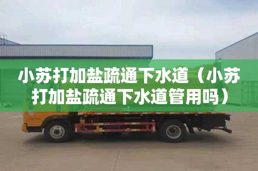 小苏打加盐疏通下水道（小苏打加盐疏通下水道管用吗）
