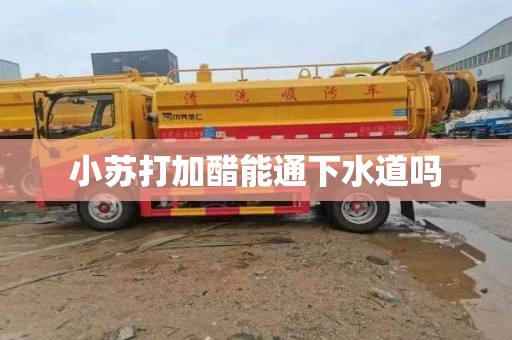 小苏打加醋能通下水道吗
