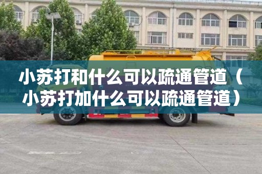 小苏打和什么可以疏通管道（小苏打加什么可以疏通管道）