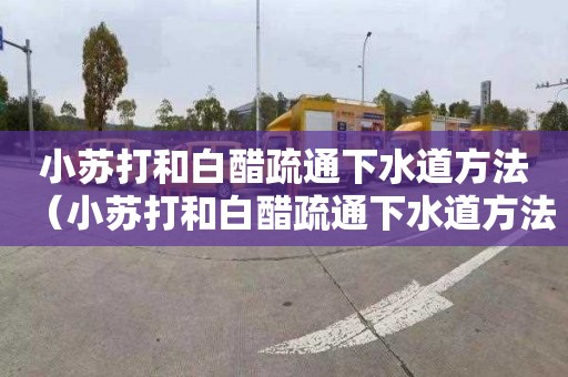 小苏打和白醋疏通下水道方法（小苏打和白醋疏通下水道方法有用吗）