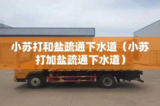 小苏打和盐疏通下水道（小苏打加盐疏通下水道）