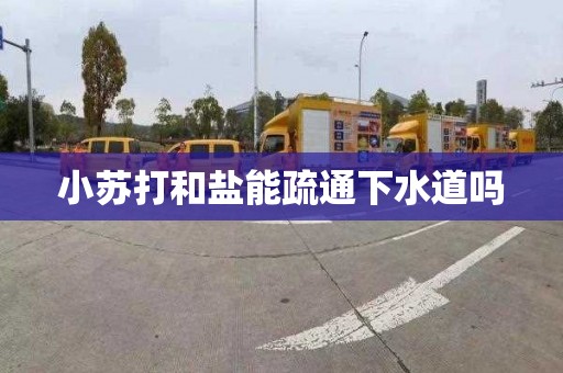 小苏打和盐能疏通下水道吗