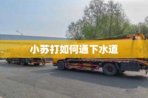 小苏打如何通下水道