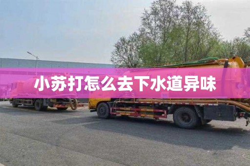 小苏打怎么去下水道异味