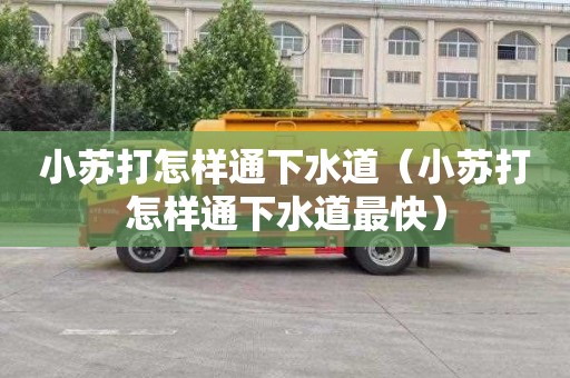 小苏打怎样通下水道（小苏打怎样通下水道最快）
