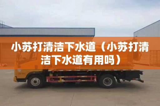 小苏打清洁下水道（小苏打清洁下水道有用吗）