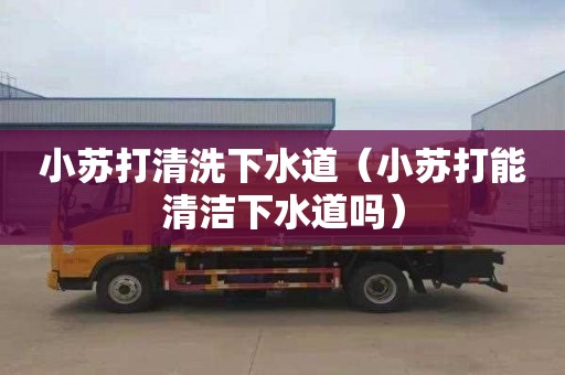 小苏打清洗下水道（小苏打能清洁下水道吗）