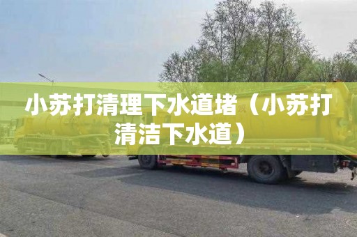 小苏打清理下水道堵（小苏打清洁下水道）