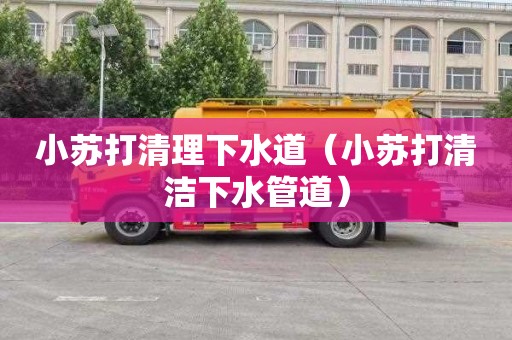 小苏打清理下水道（小苏打清洁下水管道）