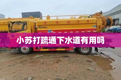 小苏打疏通下水道有用吗
