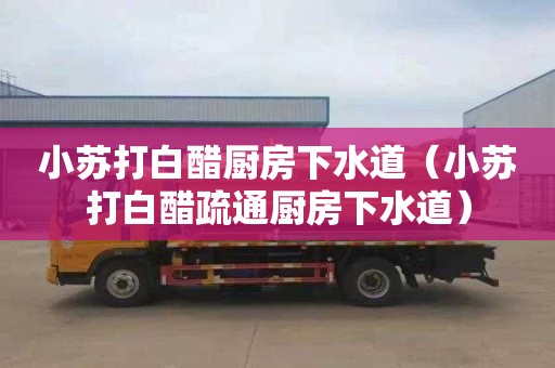 小苏打白醋厨房下水道（小苏打白醋疏通厨房下水道）
