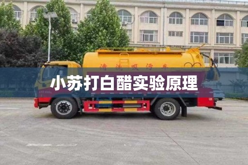 小苏打白醋实验原理