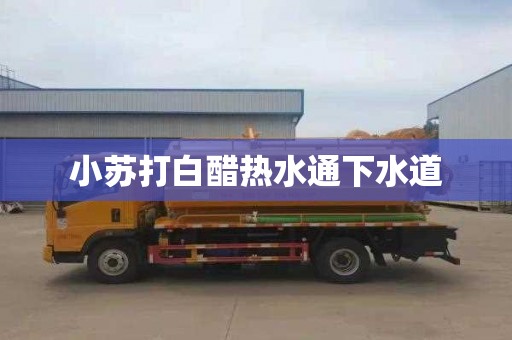 小苏打白醋热水通下水道
