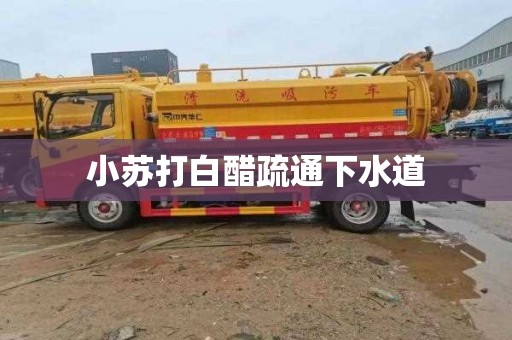 小苏打白醋疏通下水道