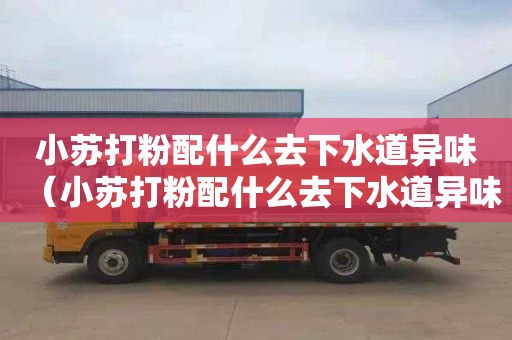 小苏打粉配什么去下水道异味（小苏打粉配什么去下水道异味最好）