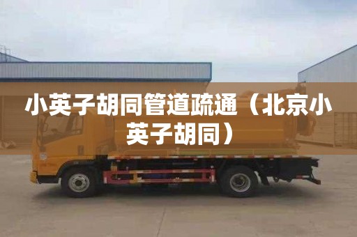 小英子胡同管道疏通（北京小英子胡同）