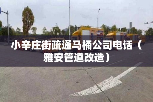 小辛庄街疏通马桶公司电话（雅安管道改造）