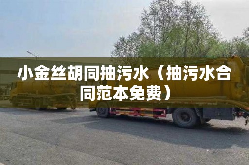 小金丝胡同抽污水（抽污水合同范本免费）