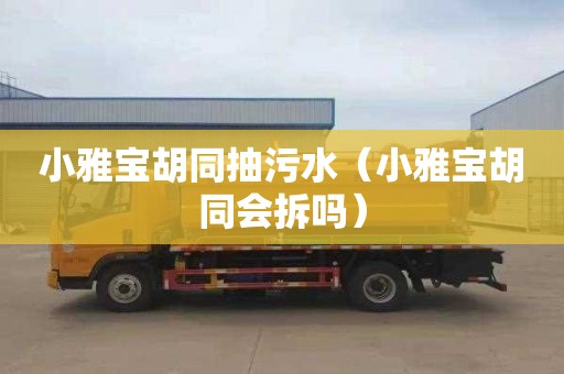 小雅宝胡同抽污水（小雅宝胡同会拆吗）
