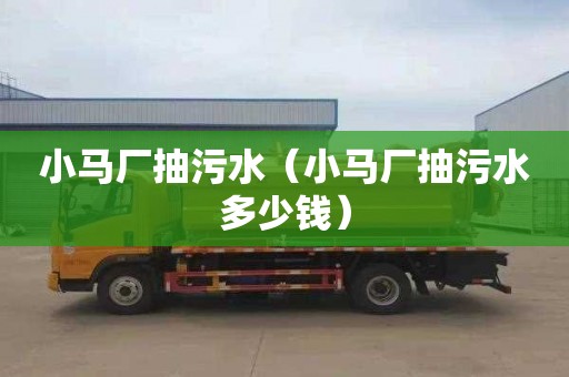 小马厂抽污水（小马厂抽污水多少钱）