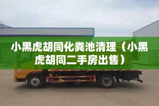 小黑虎胡同化粪池清理（小黑虎胡同二手房出售）