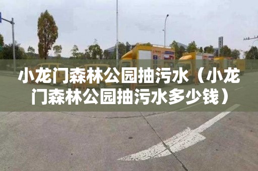 小龙门森林公园抽污水（小龙门森林公园抽污水多少钱）