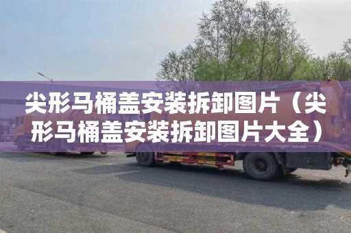 尖形马桶盖安装拆卸图片（尖形马桶盖安装拆卸图片大全）
