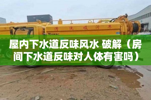 屋内下水道反味风水 破解（房间下水道反味对人体有害吗）