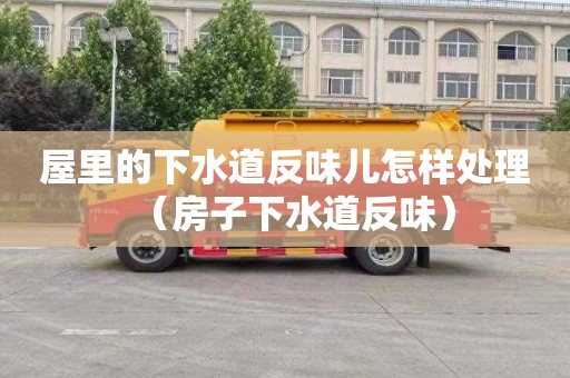 屋里的下水道反味儿怎样处理（房子下水道反味）