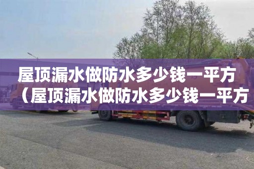 屋顶漏水做防水多少钱一平方（屋顶漏水做防水多少钱一平方米）