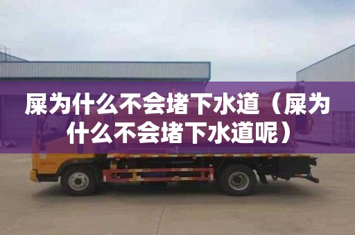 屎为什么不会堵下水道（屎为什么不会堵下水道呢）