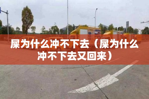 屎为什么冲不下去（屎为什么冲不下去又回来）